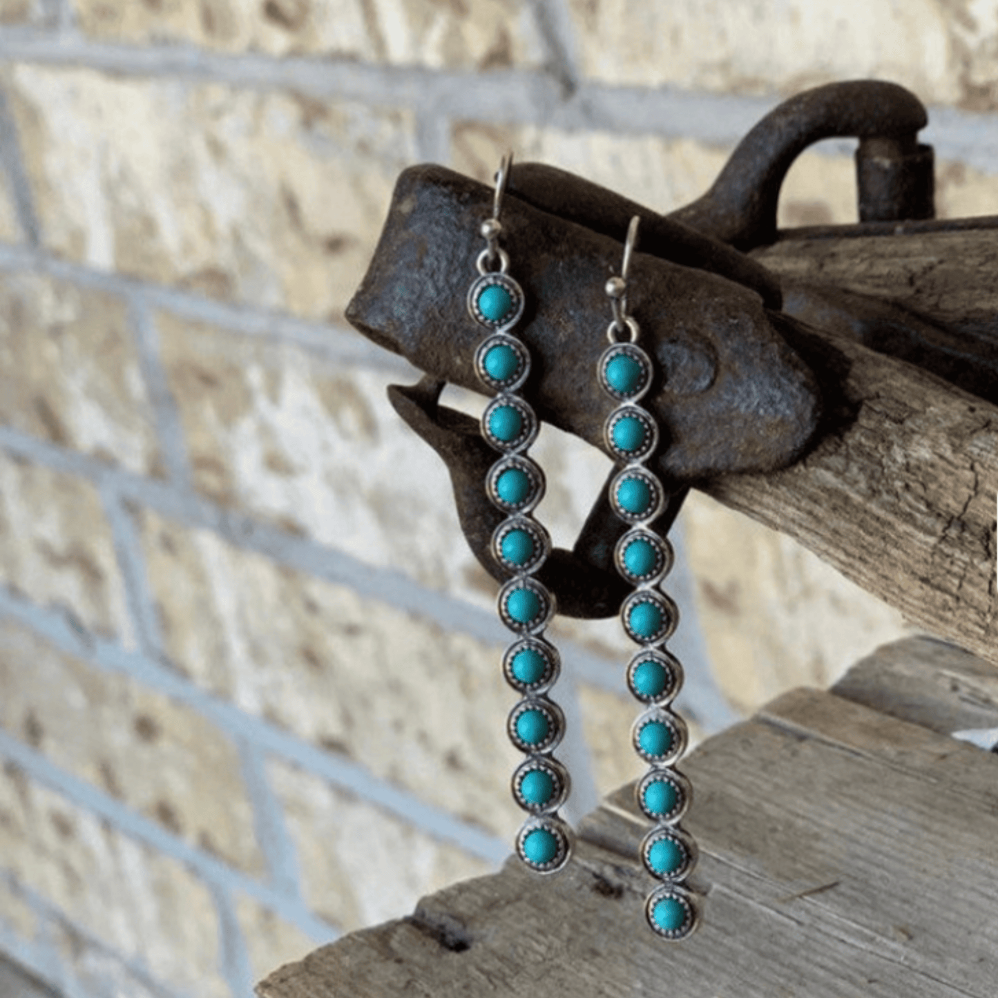 Texas After Dark Earrings